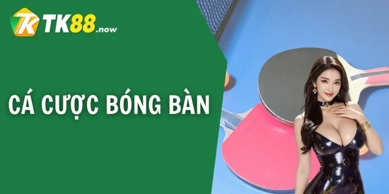 cá cược bóng bàn