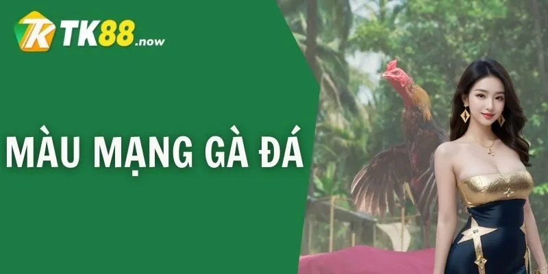 Màu mạng gà đá