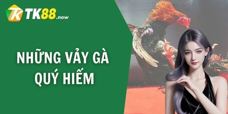 Những vảy gà quý hiếm